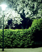 Biophilie in Bielefeld