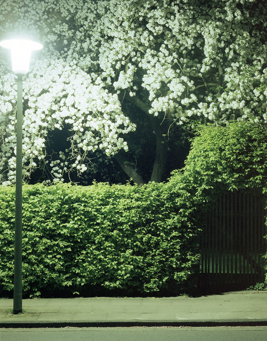 Biophilie in Bielefeld 1